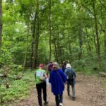 Gruppe von Spaziergänger:innen durch einen Waldabschnitt in Marienfelde