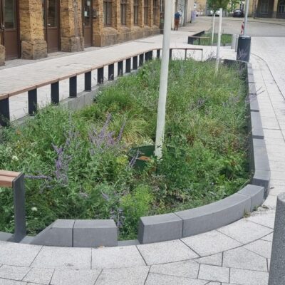 Neu gestaltete Dechanatstraße in Bremen mit Hochpflasterung, Beeten und Bäumen. Ein Beet im Vordergrund