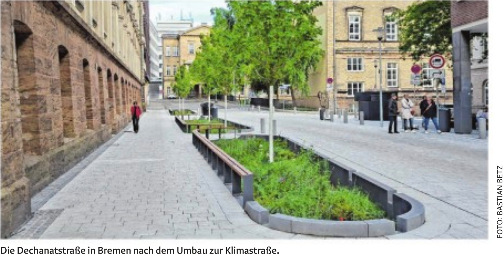 Dechanatstraße wurde zur Klimastraße umgebaut