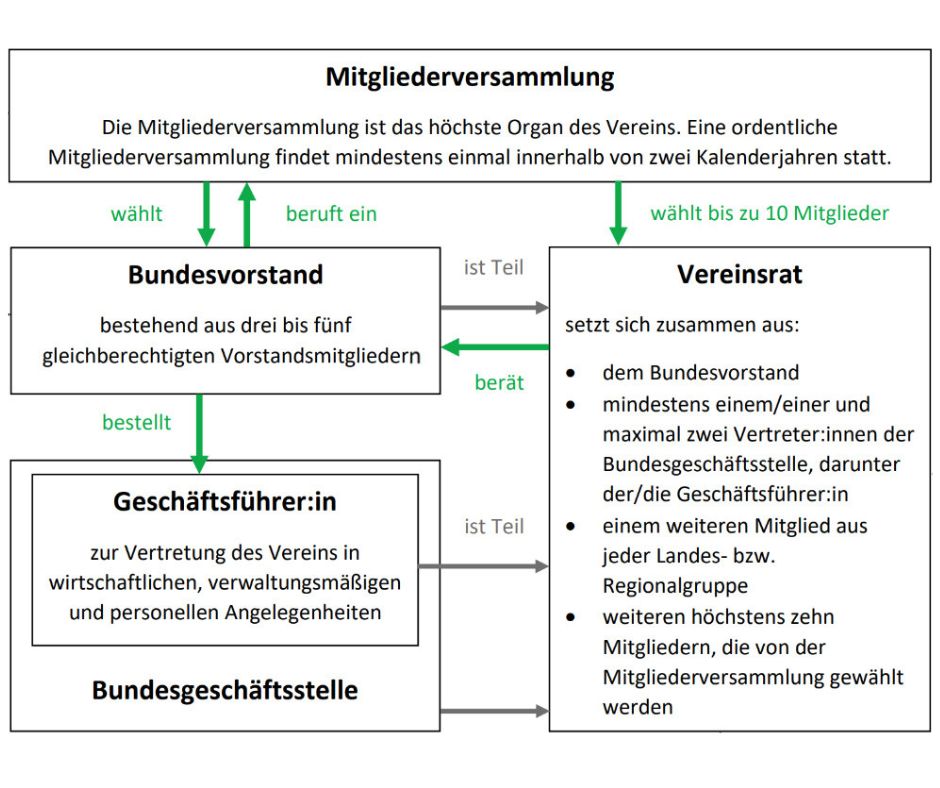Organigramm des FUSS e.V.