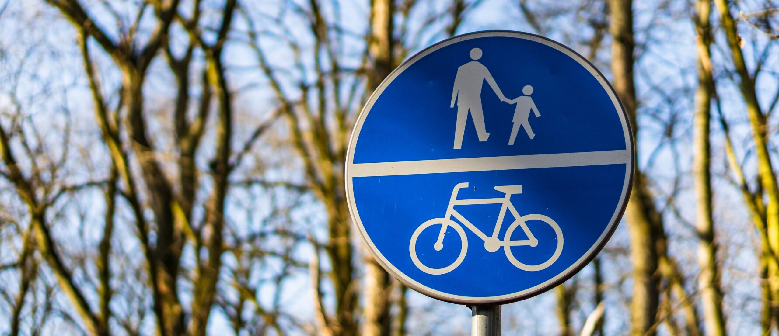 Schild: Gemeinsamer Geh- und Radweg