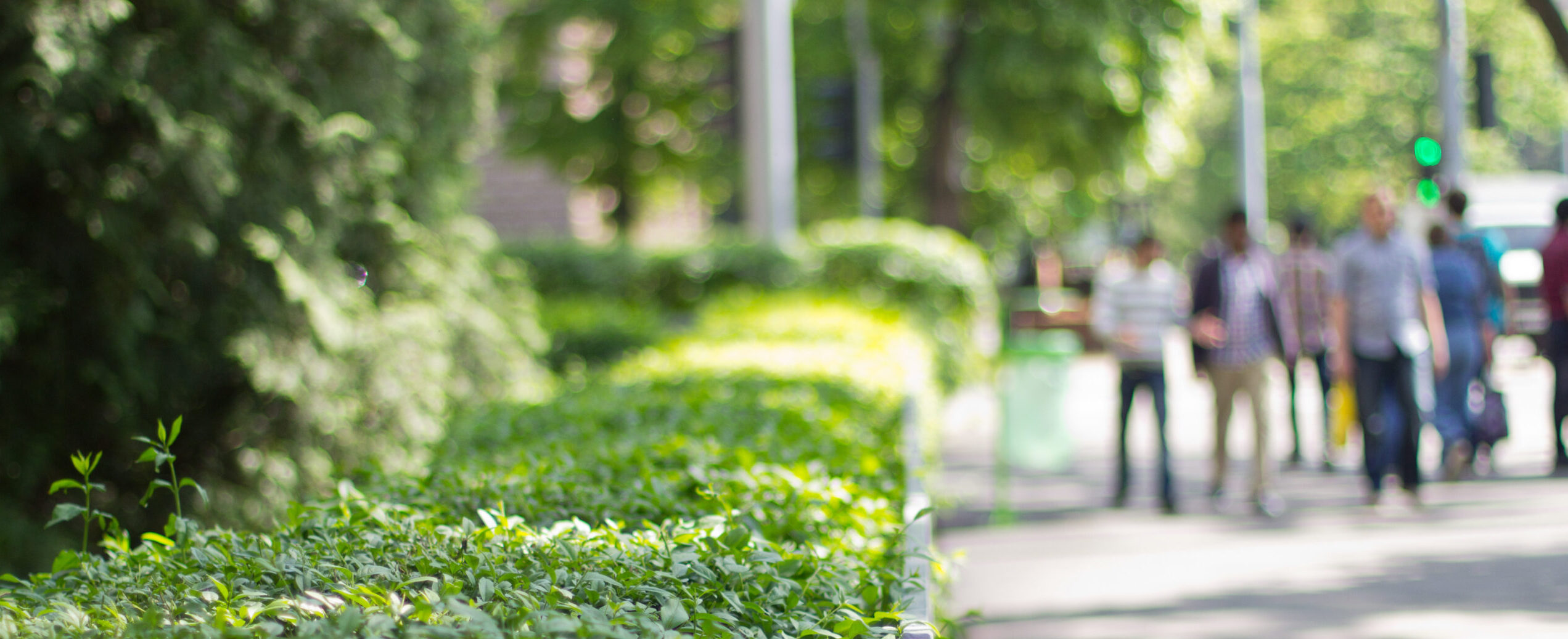 breiter Gehweg mit Begrünung.