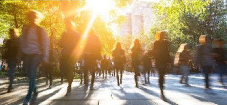eine Gruppe Zufußgehender auf einem begrünten Fußweg